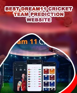 Best cricket betting app like dream11