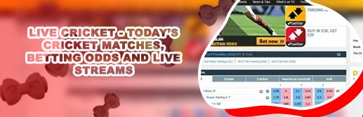 Betfair cricket zone