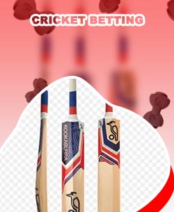 Cricket bet