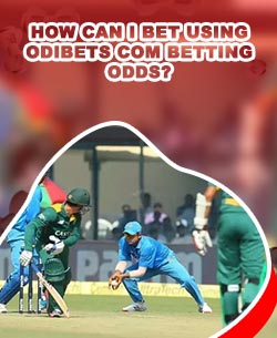 Cricket betting accounting software for Indian players