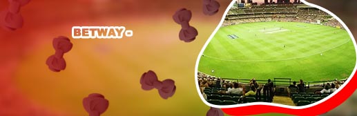 Cricket betting apk