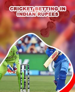 Cricket betting cricket betting odds in Indian Rupees