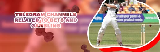 Cricket betting telegram channel