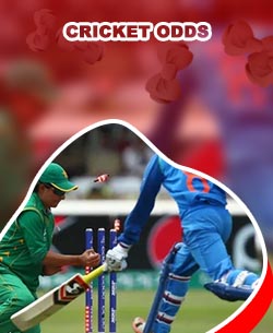 Cricket match betting rates