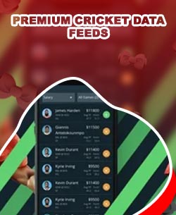 Cricket odds bet