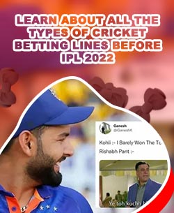 Cricket world cup 2022 betting