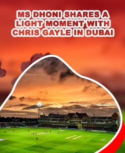 Dubai cricket betting
