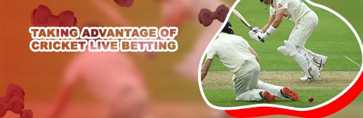 How to do betting in cricket