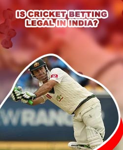 In play cricket odds
