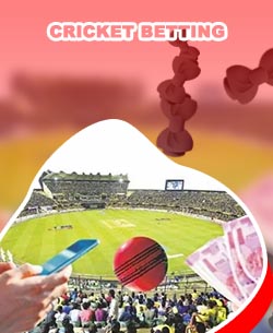 Ipl betting online