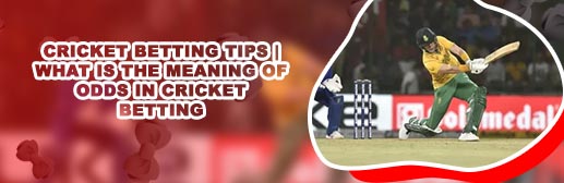 Live cricket betting in India for Indian users