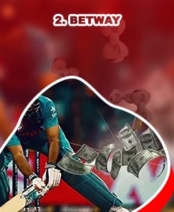 Official cricket betting site