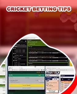 Tnpl betting odds
