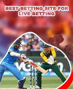 Which site is best for cricket betting in Indian Rupees